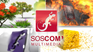 SOSCom Logo4 Saisons